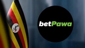 Betpawa Uganda - Overview & Rating: rules, support, sign in